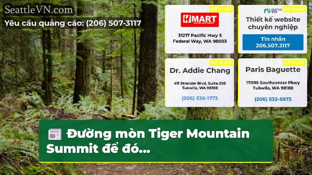 Đường mòn Tiger Mountain Summit để đó...