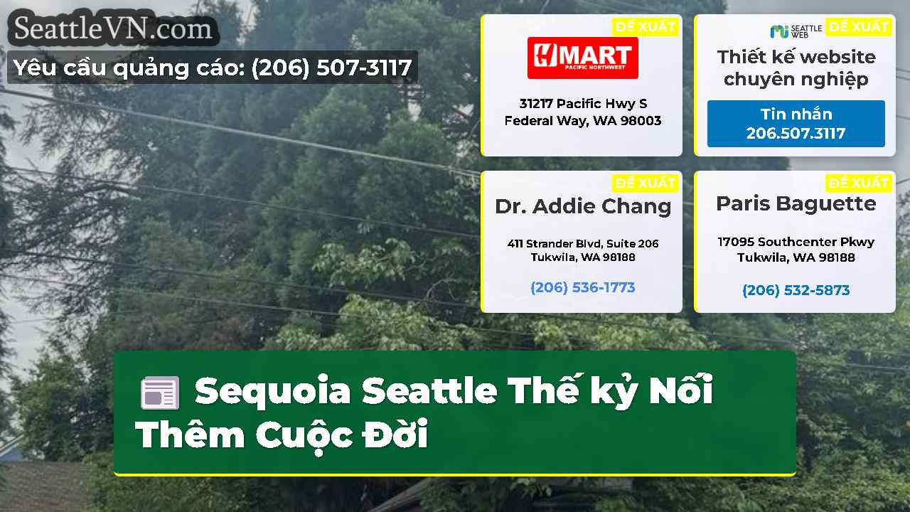 tin tức seattle SeattleVN