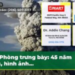 Phòng trưng bày 45 năm sau hình ảnh…