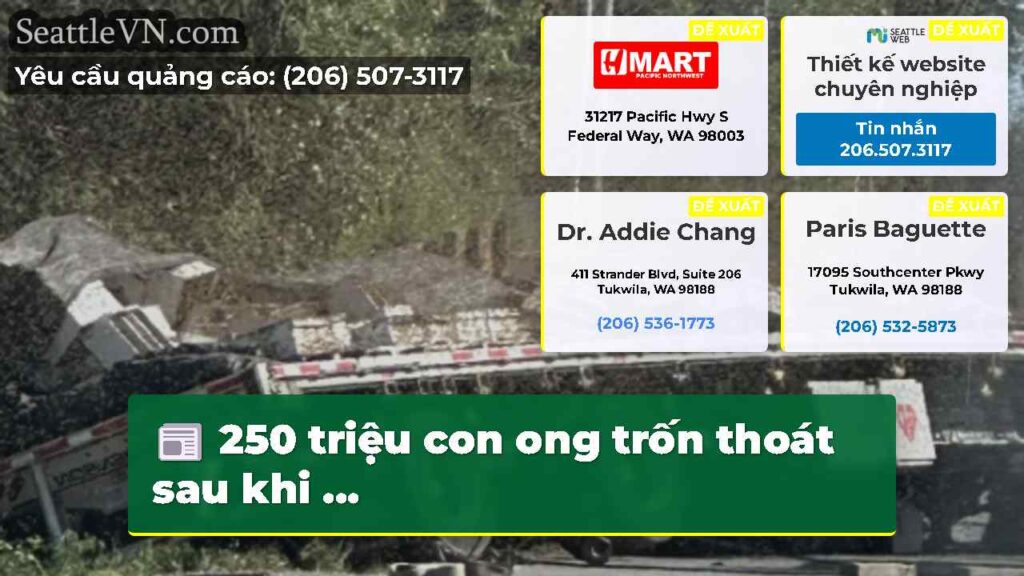 250 triệu con ong trốn thoát sau khi ...