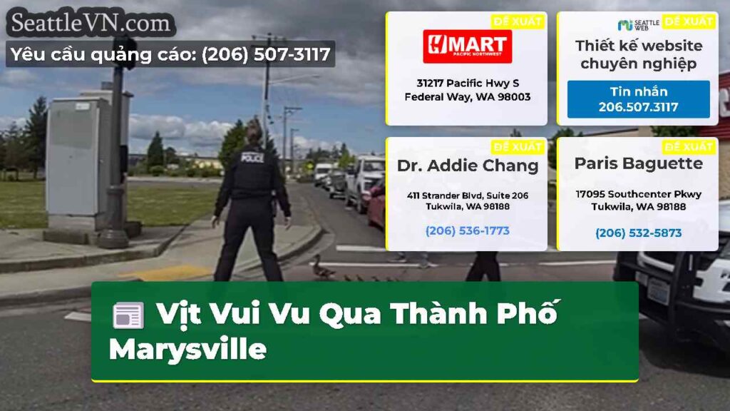 Vịt Vui Vu Qua Thành Phố Marysville