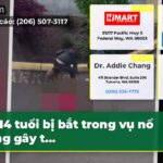 14 tuổi bị bắt trong vụ nổ súng gây t…
