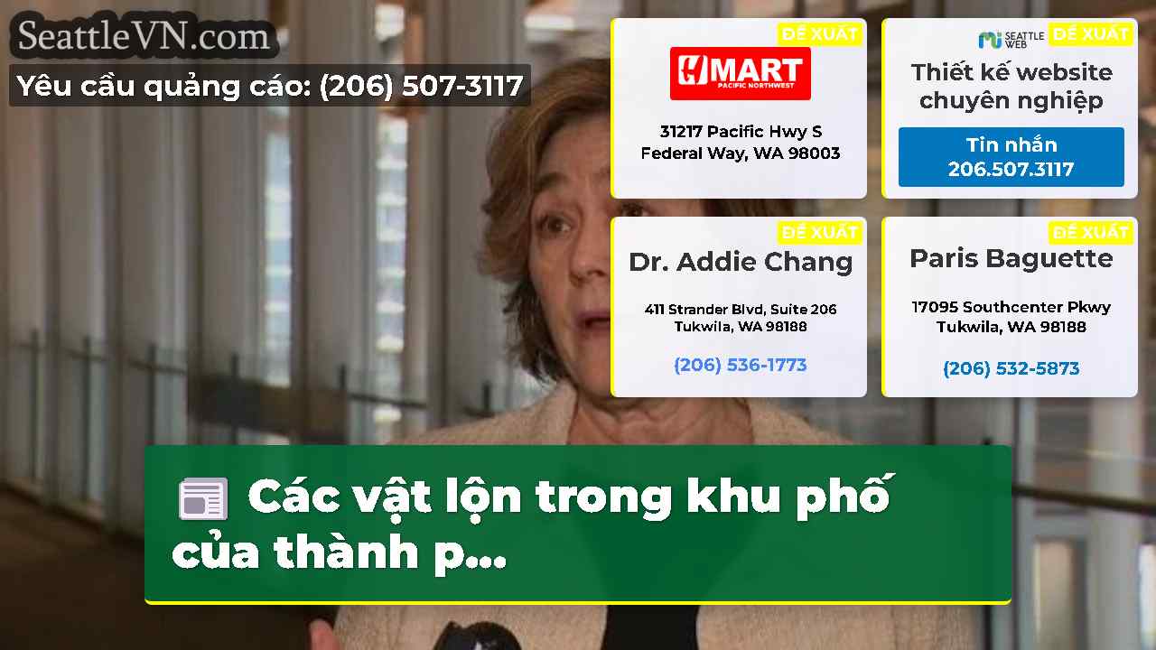 tin tức seattle SeattleVN