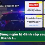 Súng ngắn bị đánh cắp sau khi thanh t…