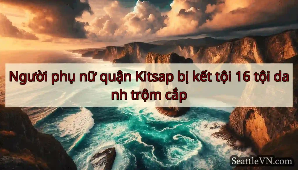 Người phụ nữ quận Kitsap bị kết tội 16 tội danh