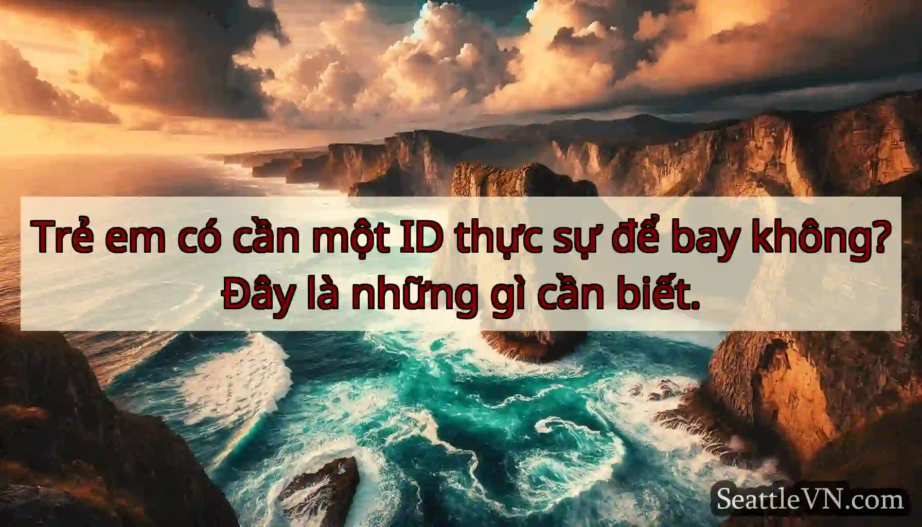 Trẻ em có cần một ID thực sự để bay không?Đây là