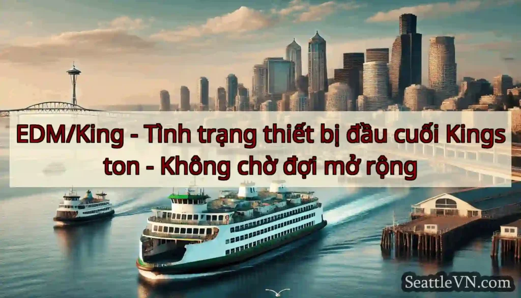 EDM/King - Tình trạng thiết bị đầu cuối Kingston