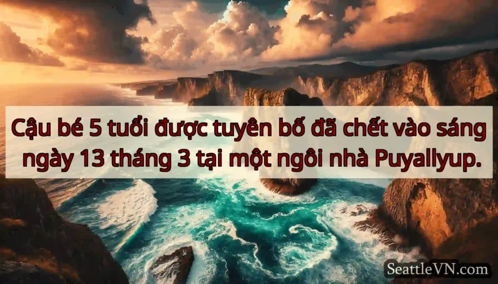 Cậu bé 5 tuổi được tuyên bố đã chết vào sáng ngày