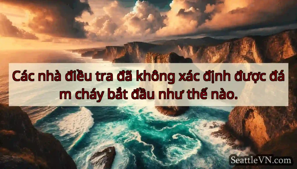 Các nhà điều tra đã không xác định được đám cháy