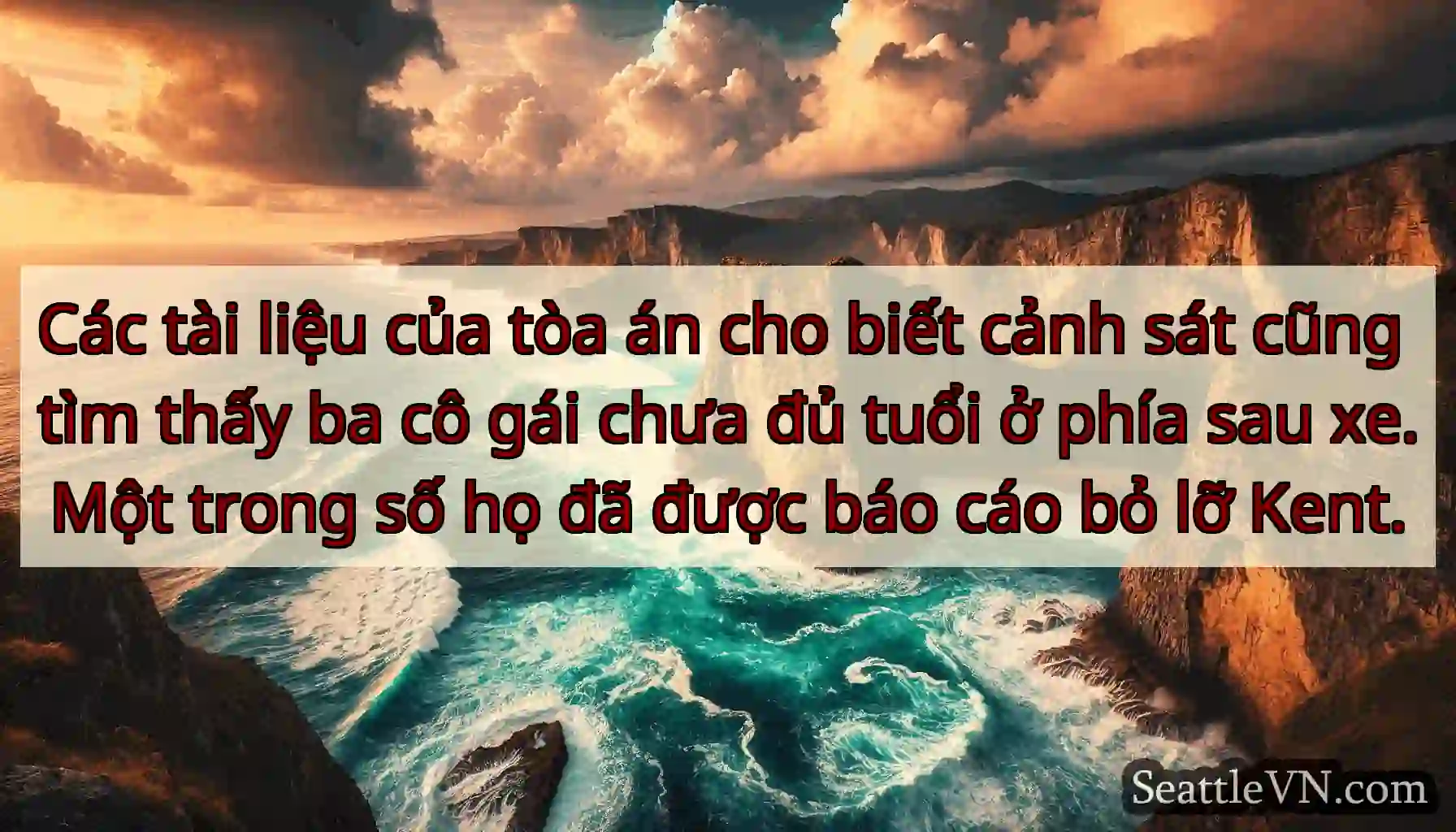 Các tài liệu của tòa án cho biết cảnh sát cũng