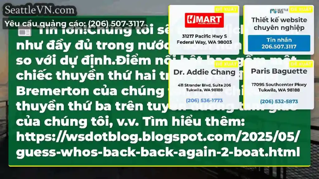Tin lớn!Chúng tôi sẽ trở lại dịch vụ gần như đầy