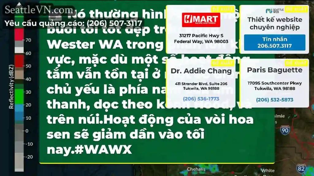 Nó thường hình thành một buổi tối tốt đẹp trên