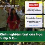 Kinh nghiệm trại của học sinh lớp 5 E…