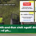 Hit-and-Run chết người đóng cửa về ph…