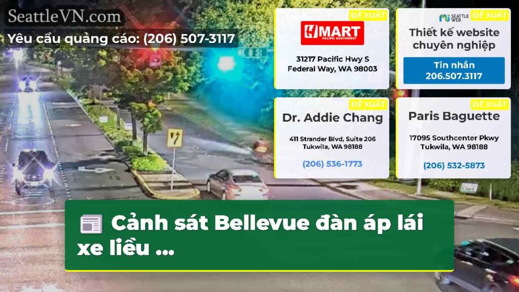 Cảnh sát Bellevue đàn áp lái xe liều ...