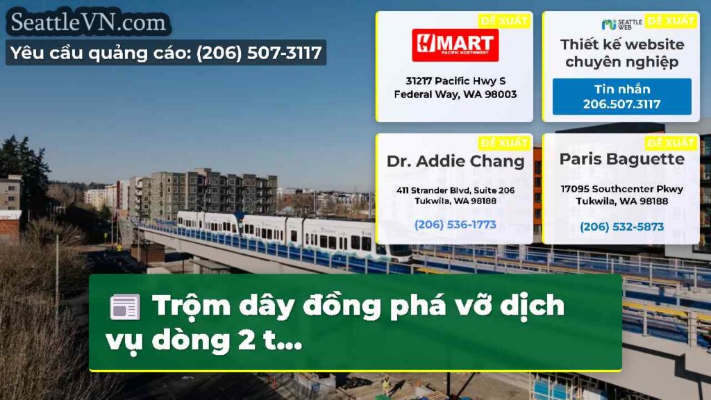Trộm dây đồng phá vỡ dịch vụ dòng 2 t...