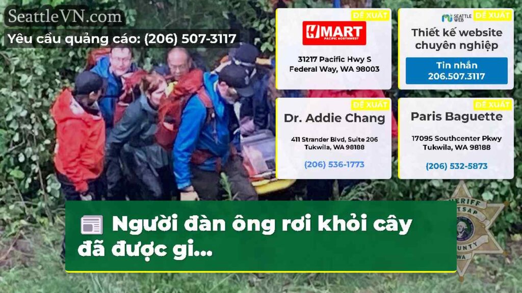 Người đàn ông rơi khỏi cây đã được gi...