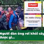 Người đàn ông rơi khỏi cây đã được gi…