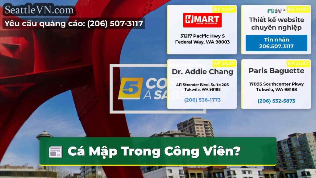 Cá Mập Trong Công Viên?