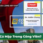 Cá Mập Trong Công Viên?