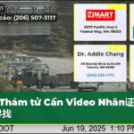 Thám tử Cần Video Nhân证证者寻找
