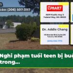 Nghi phạm tuổi teen bị buộc tội trong…
