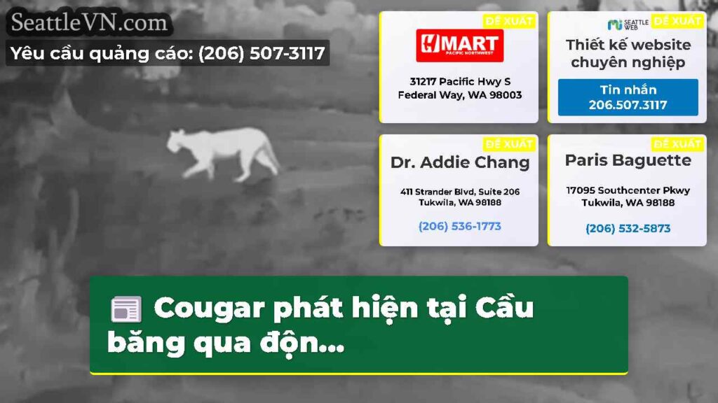 Cougar phát hiện tại Cầu băng qua độn...
