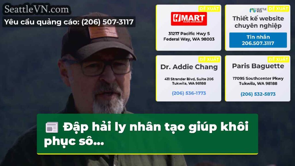 Đập hải ly nhân tạo giúp khôi phục sô...
