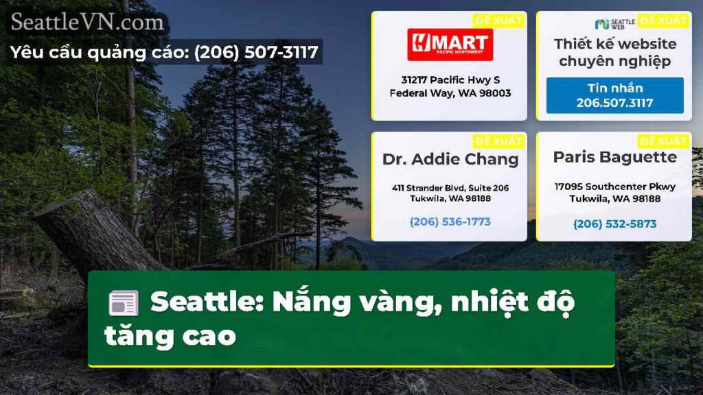 Seattle: Nắng vàng, nhiệt độ tăng cao