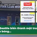 Seattle biến thành một trung tâm bóng…