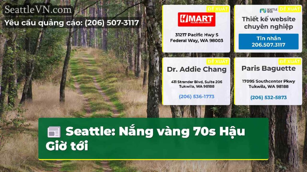 Seattle: Nắng vàng 70s Hậu Giờ tới