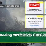 Boeing 787坠毁伦敦 印度航运营劫