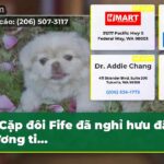 Cặp đôi Fife đã nghỉ hưu đã thương ti…
