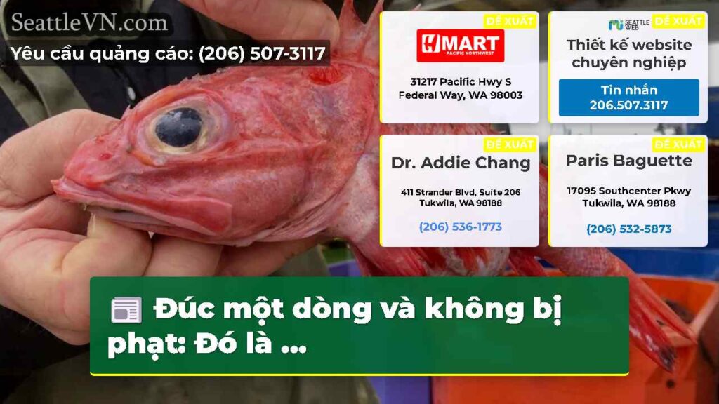 Đúc một dòng và không bị phạt: Đó là ...