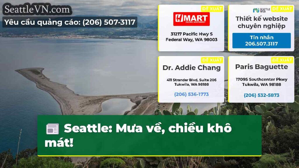 Seattle: Mưa về, chiều khô mát!