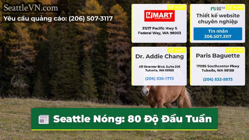 Seattle Nóng: 80 Độ Đầu Tuần