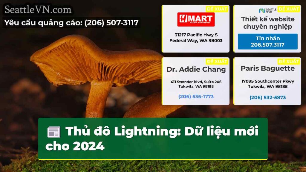 Thủ đô Lightning: Dữ liệu mới cho 2024
