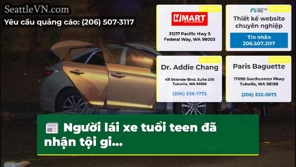 Người lái xe tuổi teen đã nhận tội gi...