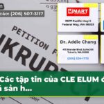 Các tập tin của CLE ELUM để phá sản h…