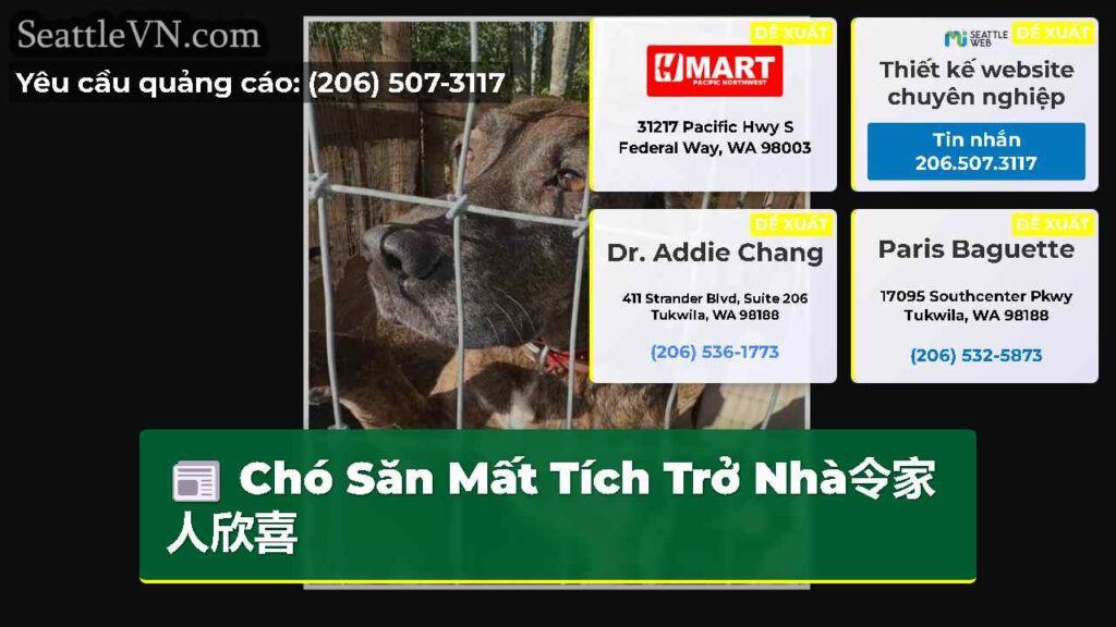 Chó Săn Mất Tích Trở Nhà令家人欣喜