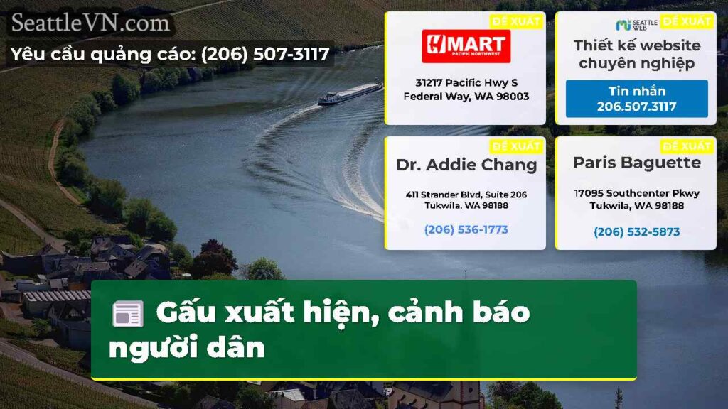 Gấu xuất hiện, cảnh báo người dân