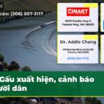 Gấu xuất hiện cảnh báo người dân