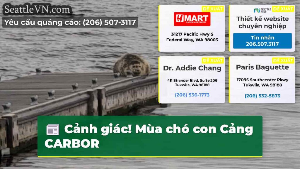 Cảnh giác! Mùa chó con Cảng CARBOR