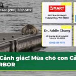 Cảnh giác! Mùa chó con Cảng CARBOR