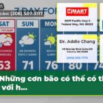 Những cơn bão có thể có thể đối với h…