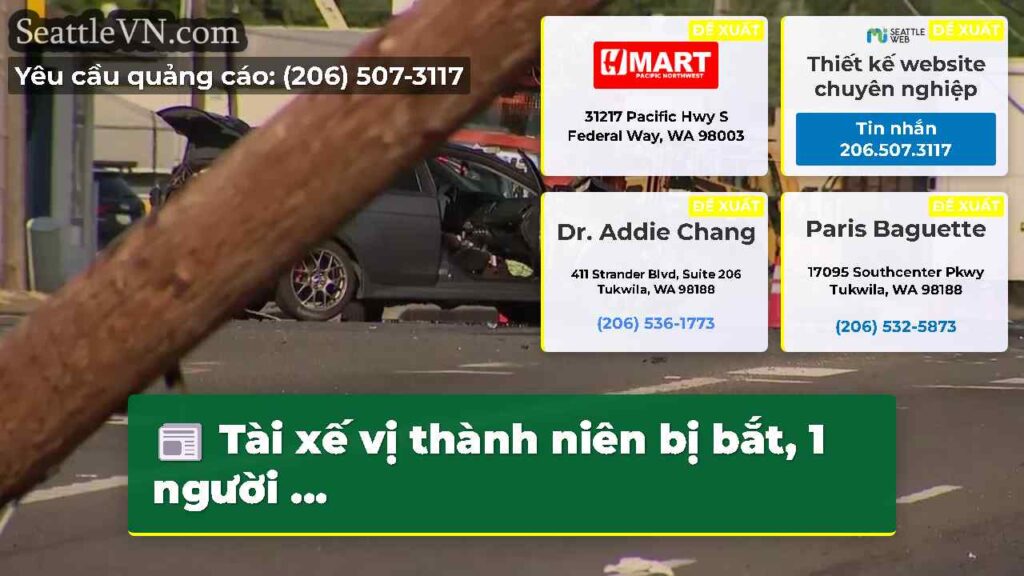 Tài xế vị thành niên bị bắt, 1 người ...