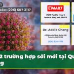 2 trường hợp sởi mới tại Quận King