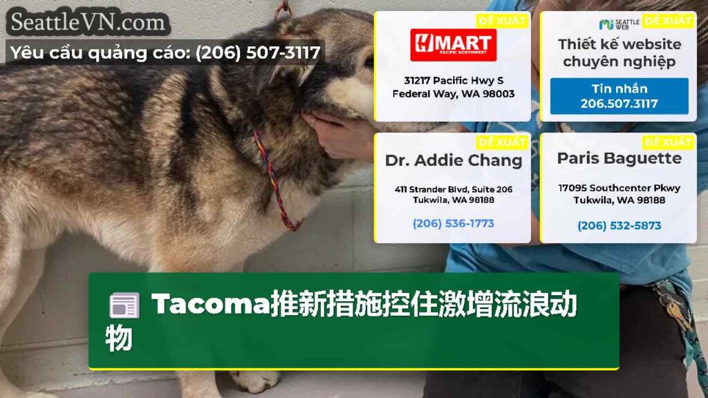 Tacoma推新措施控住激增流浪动物