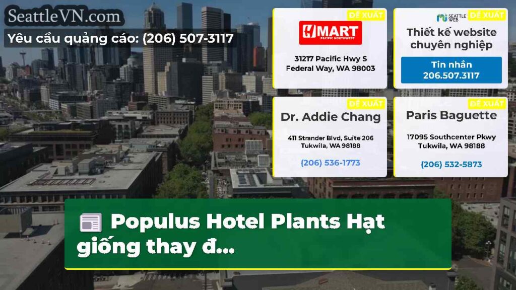Populus Hotel Plants Hạt giống thay đ...