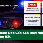 Đâm Dao Gần Sân Bay Nghi Phạm Bắt